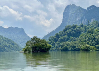 dao1 1736415874 1736416359 9026 1736420583.jpg