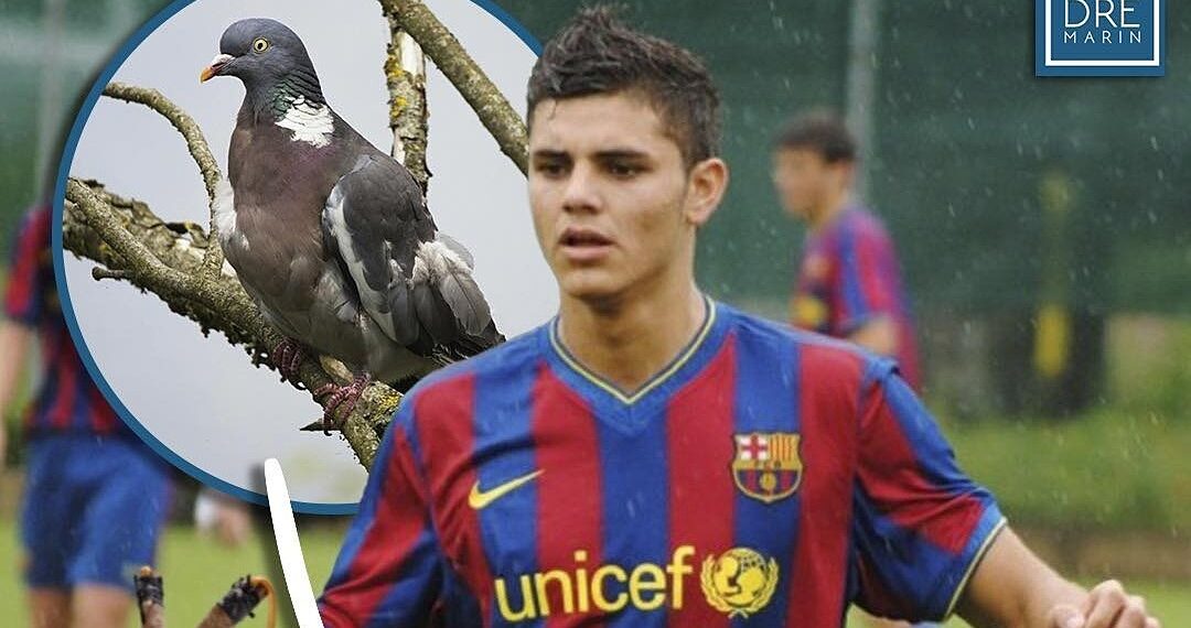 download 1754897012 1754897086 6706 1754897192.jpg