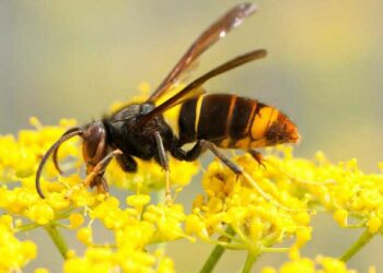 download 2 1758077303 5769 175 2267 4198 1758078076.jpg