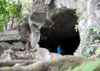 dsc07965 jpeg 1755659303 17556 8138 2595 1755659543.jpg