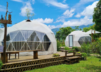 gioto1 1742529357 5636 1742549 8121 3283 1742730555.jpg