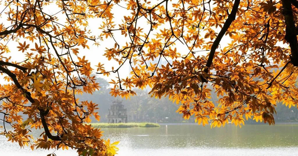 ha noi lot top nhung diem den ngam la mua thu dep nhat chau luc 824.jpg