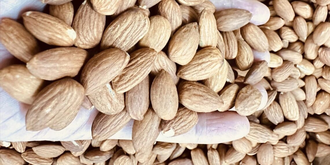 5 loại hạt tốt cho mắt của trẻ ha t ha nh nha n gia u vitamin 3151 4837 1756605277.jpg