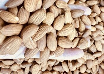 ha t ha nh nha n gia u vitamin 3151 4837 1756605277.jpg