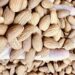 5 loại hạt tốt cho mắt của trẻ ha t ha nh nha n gia u vitamin 3151 4837 1756605277.jpg