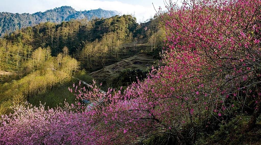 hagiang 1741831706 1741831966.jpg