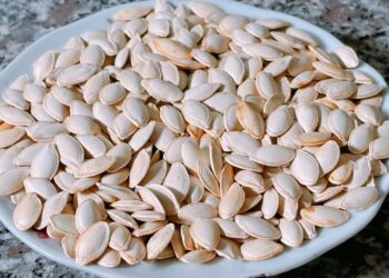 hat 1732502936 1758965966 1758 9548 8789 1758966024.jpg