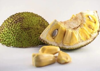 hatmit cropped 1754106811745.jpg
