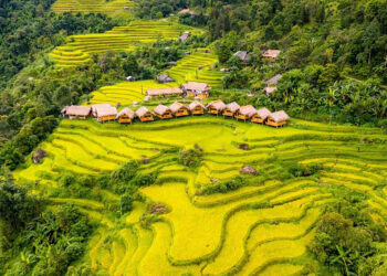 hsp logde 1757662747 175766459 4729 1957 1757676193.jpg