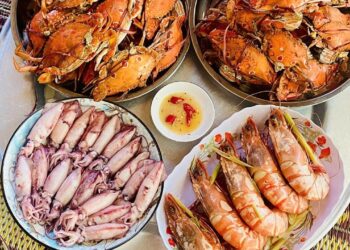 image001 1757145038 1757145064 1244 1757145240.jpg