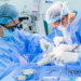 Hẹp động mạch cảnh gây thiếu máu não thoáng qua image001 1757294702 1757294718 6567 1757294761.png