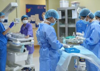 image001 1758764032 1758764248 3635 1758764266.jpg