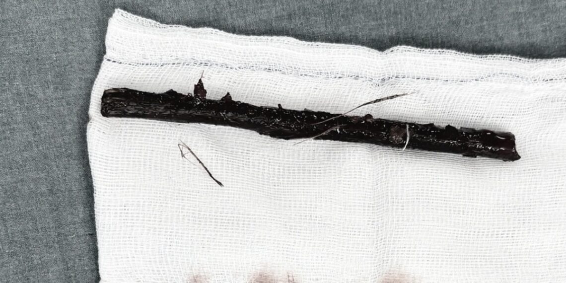 img 20250930 145512 1759219194 4025 2059 1759219403.jpg