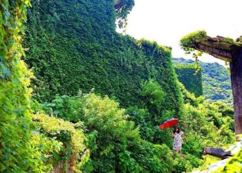 imgi 15 224801817 8 2021062409 4557 8890 1757755920.jpg