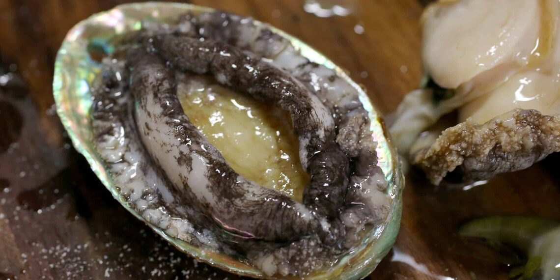 jeonbok 1757787834 1757787853 9936 1757787861.jpg