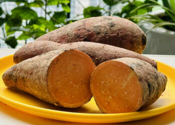 khoai lang nuong ngon ngot nhung gay hai cho mot nhom nguoi 2971.jpg