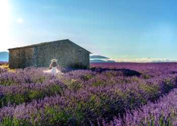 laven 1748704996 1748705027 2057 1748705339.jpg