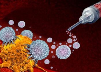 lieuphapmiendich1eurealert crop 1637061787386.jpeg