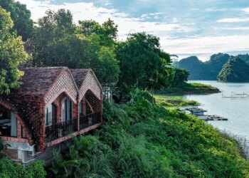 maida jpeg 1756522725 17565227 5171 2586 1756522996.jpg