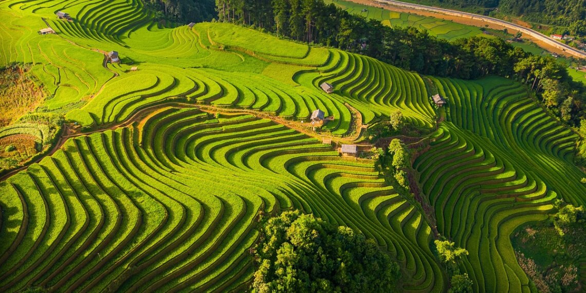 mcc 1756956502 1756956643 5860 1756972238.jpg