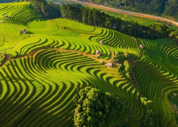 mcc 1756956502 1756956643 5860 1756972238.jpg