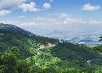 ngoccumi 1734493487 1734494367 3327 1734494400.jpg