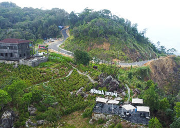 ngontinh 3 1755692062 17556921 9676 7512 1755741788.jpg