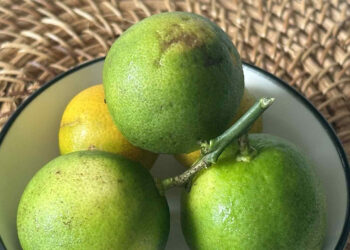 nguoi dan ong phai di cap cuu vi thoi quen uong nuoc chanh 2129.jpg