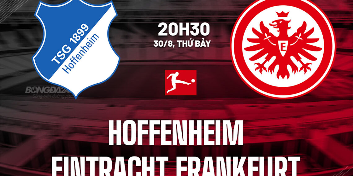 nhan dinh bong da du doan hoffenheim vs eintracht frankfurt vdqg duc bundesliga hom nay 2608033308.jpg