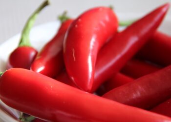 otcay crop 1707093115963.jpeg