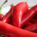 otcay crop 1707093115963.jpeg