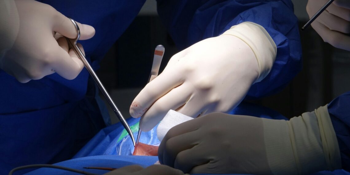 pexelsduksi30964767 1756962747 8586 1756962754.jpg