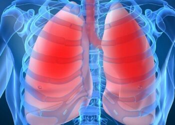 phoi 1757993864 1757993876 1341 1757994327.jpg