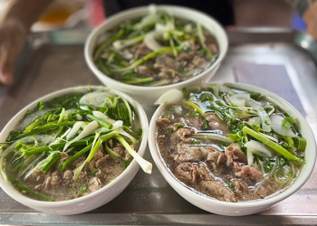 phphgia01 1656563986 165656400 6121 8686 1758510979.png