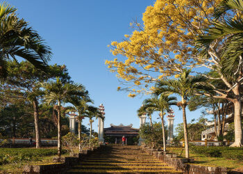 phuong vang rung tu vien bat n 3782 6430 1737639902.jpg