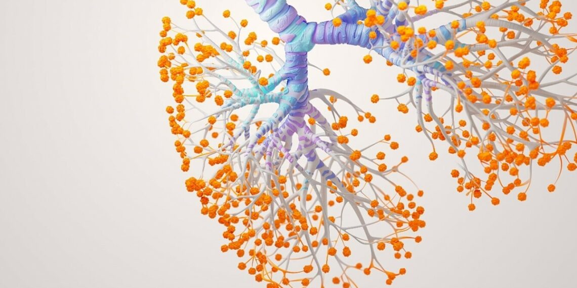 picture1 1749030080 1749030149 7340 1749030577.jpg