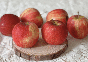 screenshot 2025 08 17 at 19 58 6573 1182 1758549243.png