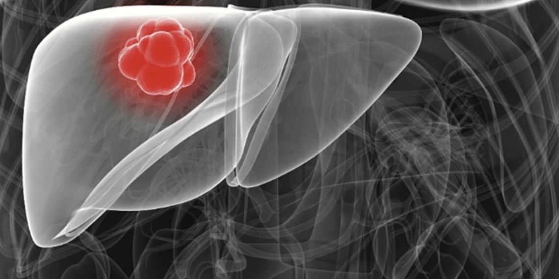 screenshot 2025 09 11 at 14 46 4404 7123 1757577697.png