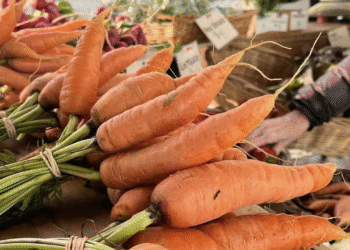 screenshot 2025 09 20 at 05 51 6142 3155 1758322565.png