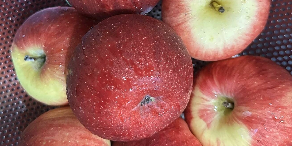 screenshot 2025 09 22 at 17 37 1116 7287 1758538107.png