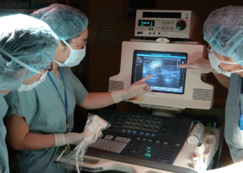 sie u a m co xu o ng kho p 175 4557 5775 1759052230.png