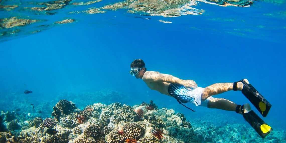snorkeling underwater 1755136267 1755141240.jpg