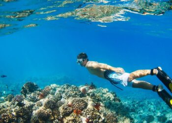 snorkeling underwater 1755136267 1755141240.jpg