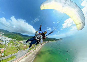 son tra 1748946970 1748946996 3800 1748947020.jpg