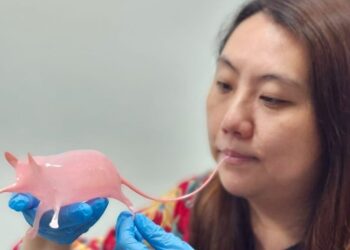 tai xuong 7 jpeg 1756875612 76 8013 2088 1756875918.jpg