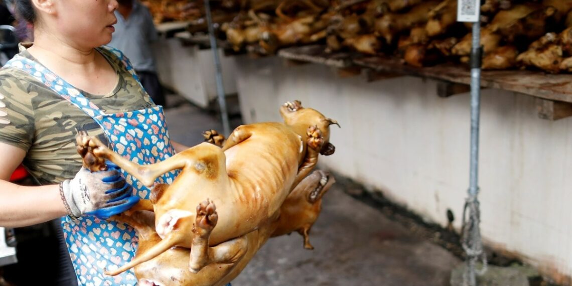 Lễ hội thịt 10.000 con chó gây tranh cãi ở Trung Quốc tai xuong jpeg 1753493275 1753 1423 6313 1753494107.jpg