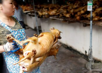 tai xuong jpeg 1753493275 1753 1423 6313 1753494107.jpg