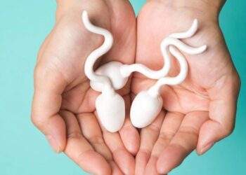 tinhtrung1 1672917139559 crop 1721264406265.jpeg