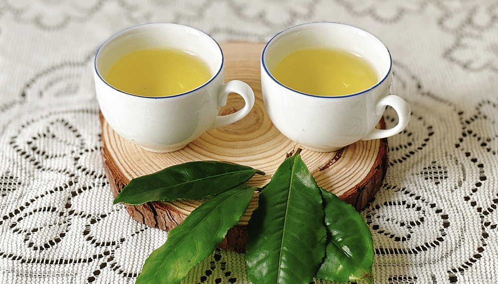 traxanh1724495570 1726310826 1 9655 9084 1758597449.png