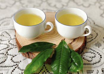 traxanh1724495570 1726310826 1 9655 9084 1758597449.png